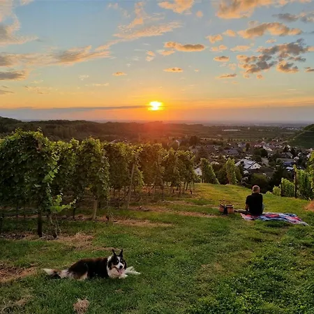 Gaestehaus Woerner 3* Durbach