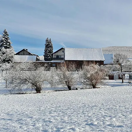 Pensión Gaestehaus Woerner Durbach