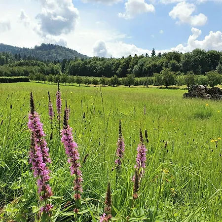 Gaestehaus Woerner Durbach