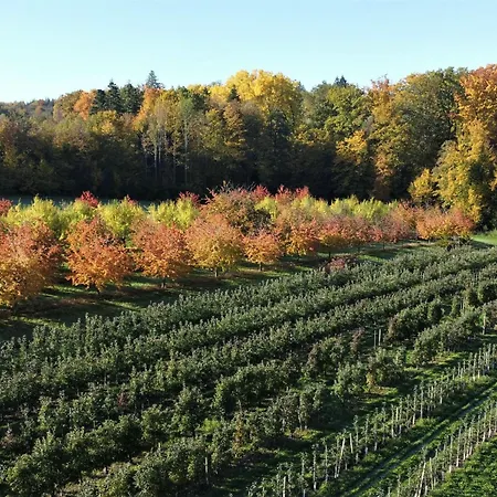 沃纳旅馆 3* 杜尔巴赫