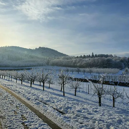 招待所 沃纳旅馆 3*