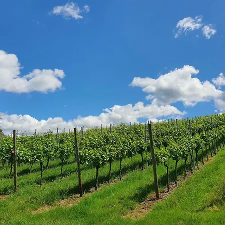 沃纳旅馆 招待所