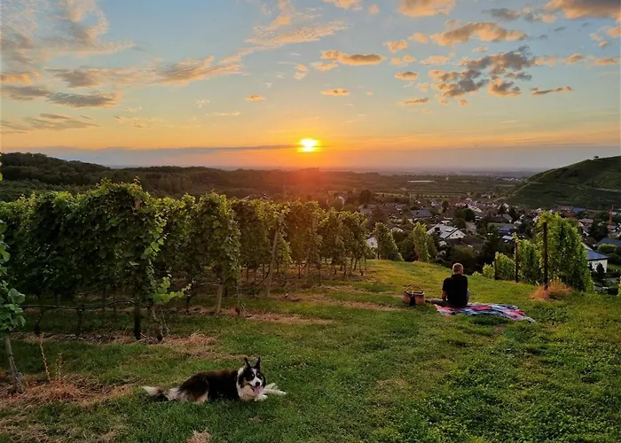 Gaestehaus Woerner 3* Durbach