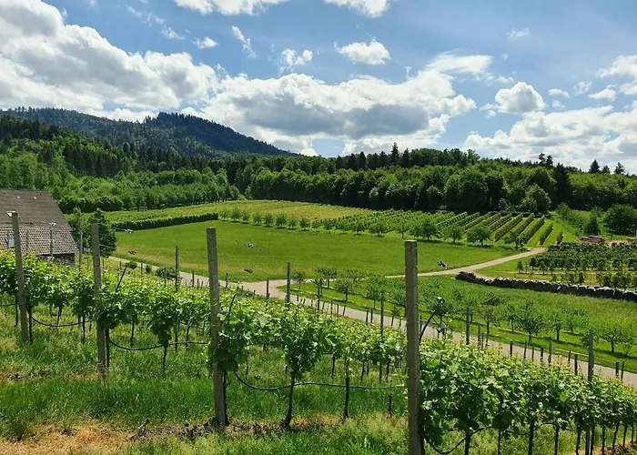 Gaestehaus Woerner Guest house Durbach