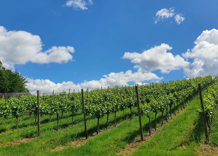 Gaestehaus Woerner Guest house